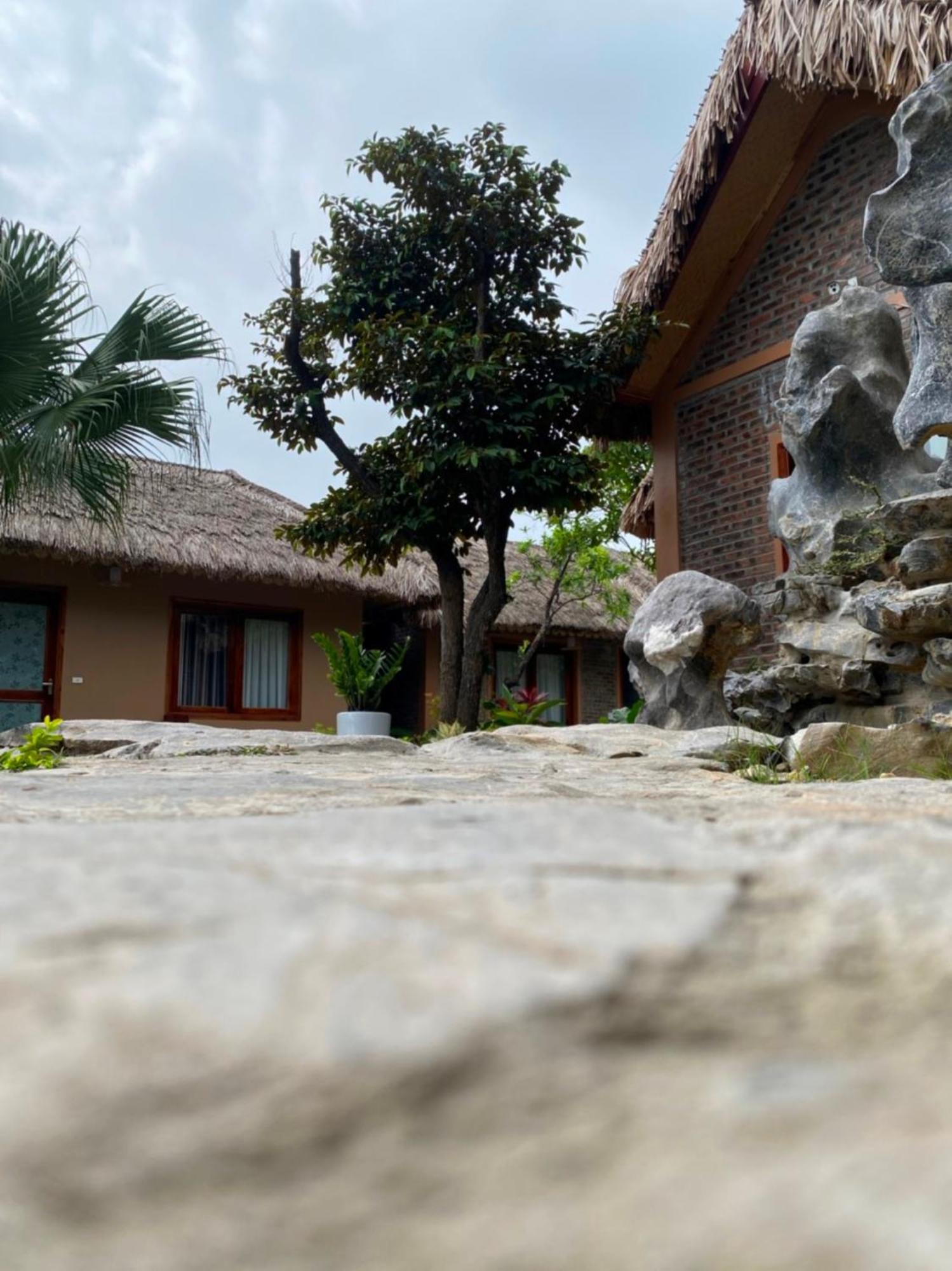 Lemon Tree Homestay Tam Coc 닌빈 외부 사진
