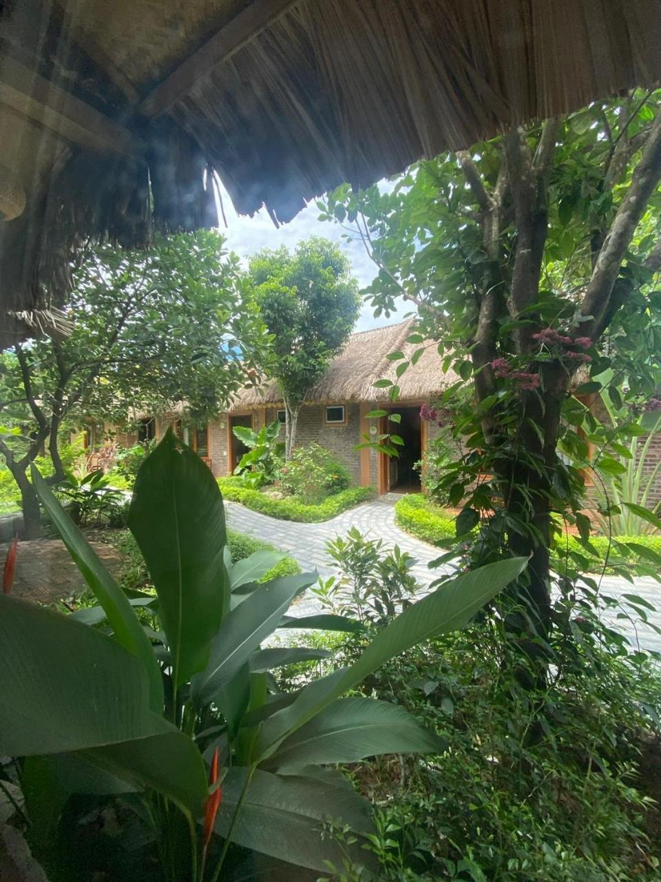 Lemon Tree Homestay Tam Coc 닌빈 외부 사진