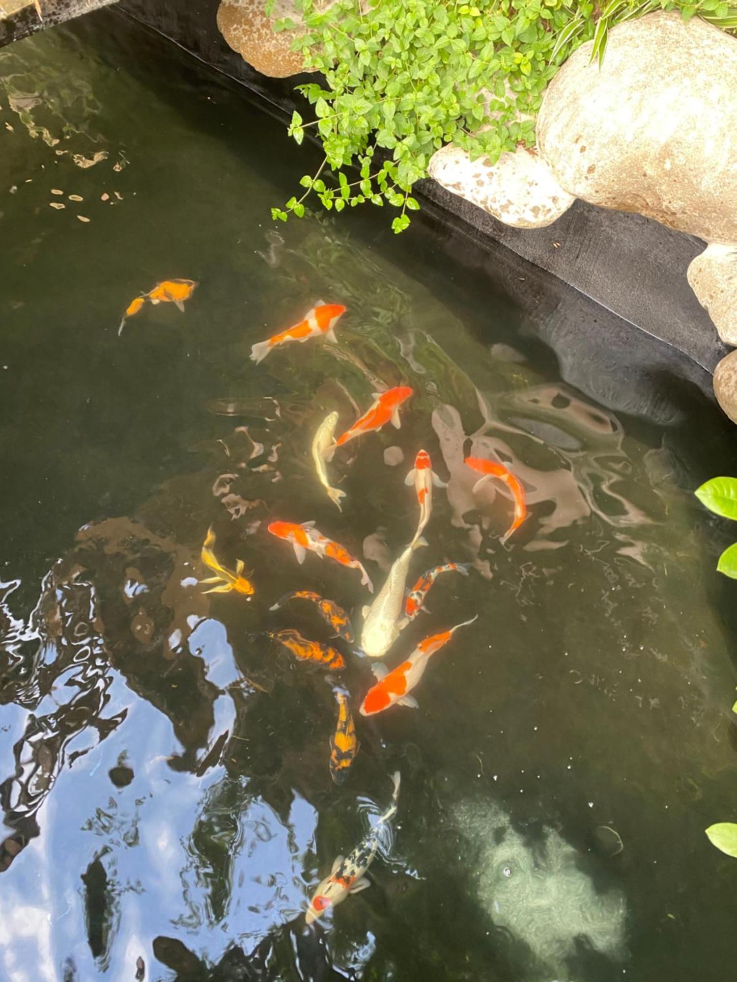 Lemon Tree Homestay Tam Coc 닌빈 외부 사진